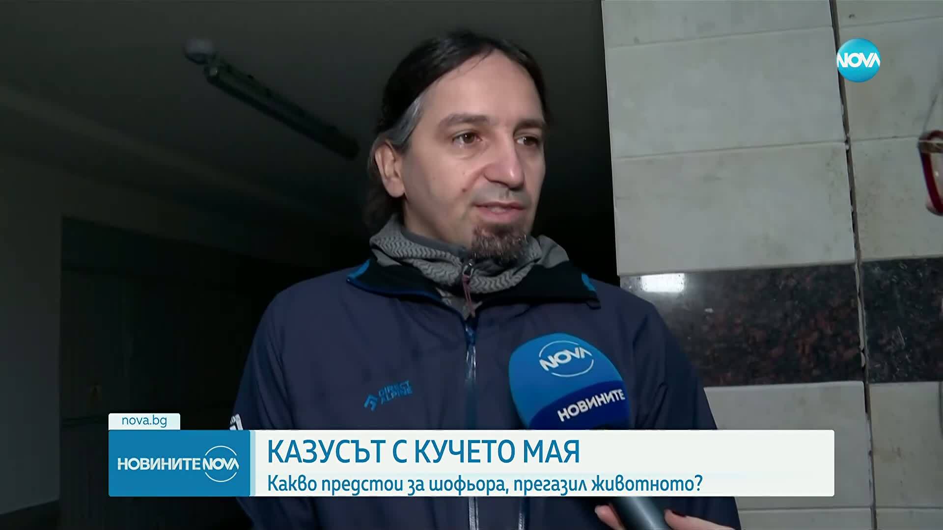 До 8 години затвор грозят шофьора, прегазил куче в София