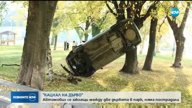 Кола „кацна” между две дървета в парк в Стара Загора