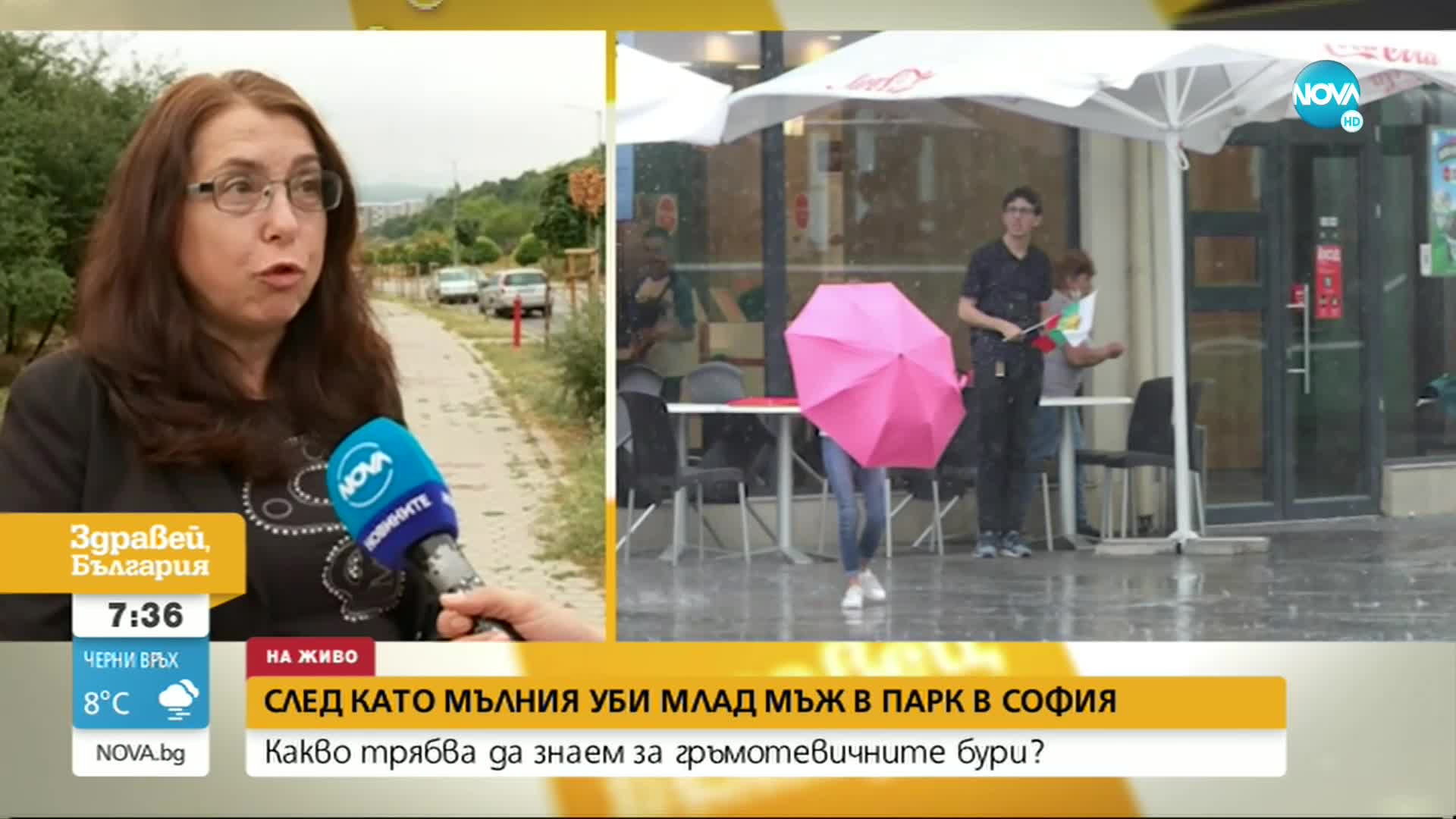 Експерт: Мокрите дървета са привлекли мълнията, убила младия мъж в София