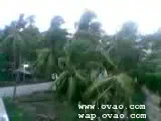 Поражения След Цунамито