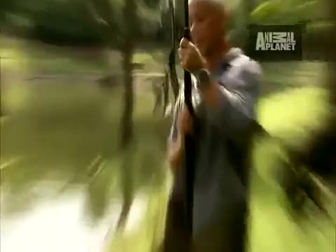 Арапайма изпъва нервите на риболовец но чакането му се увенча с успех!