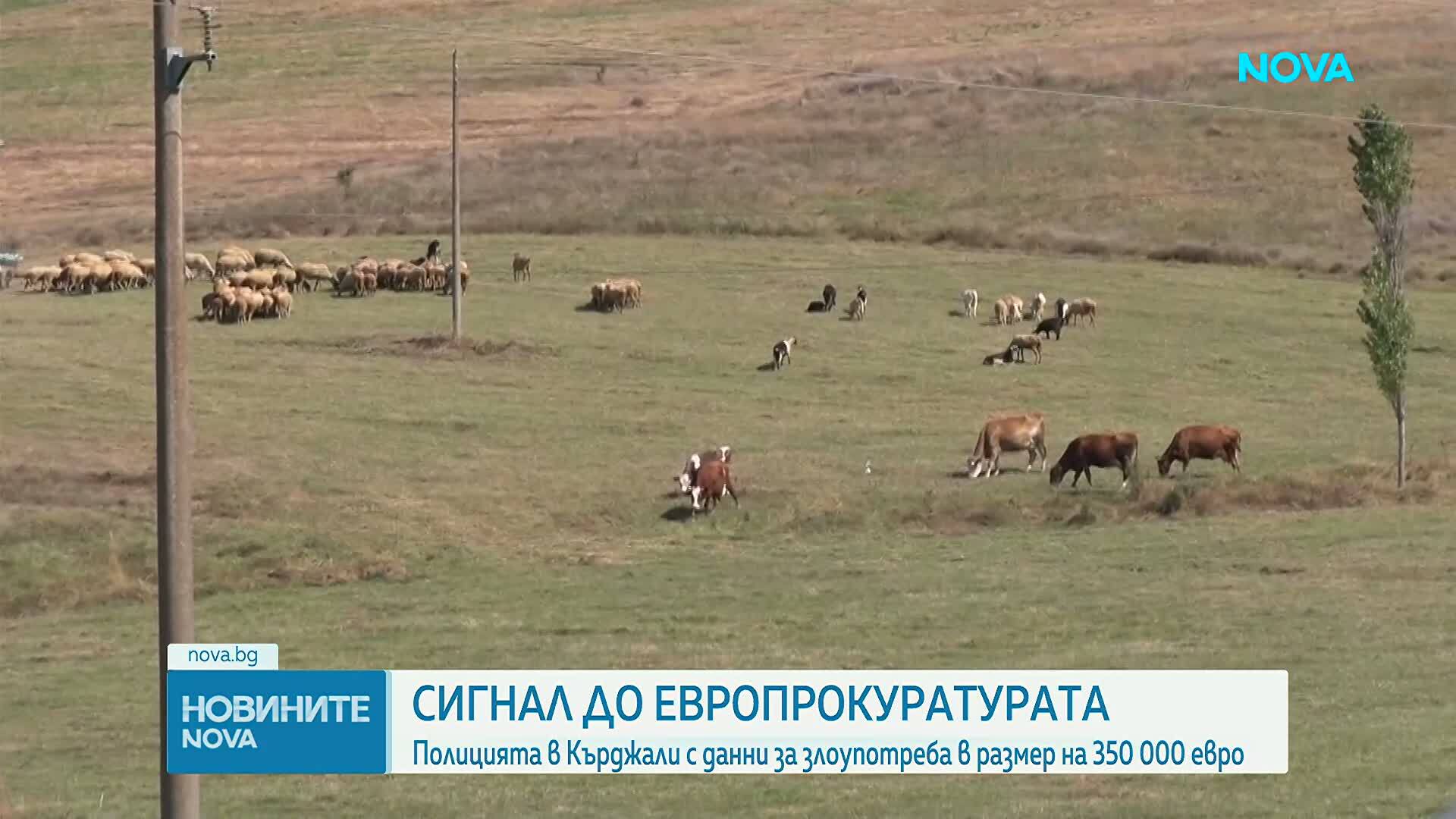 Полицията в Кърджали подаде сигнал в европрокуратурата за злоупотреби със субсидии за 350 000 евро