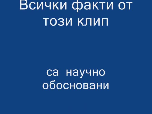 Истината за Скандала с адреналинката Яна 