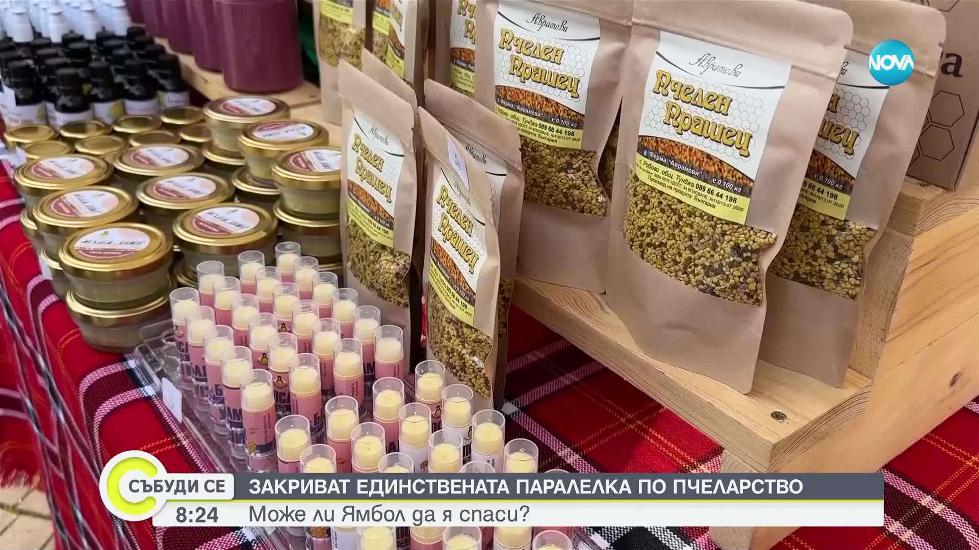 Закриват единствената паралелка по пчеларство в Южна и Югоизточна България?