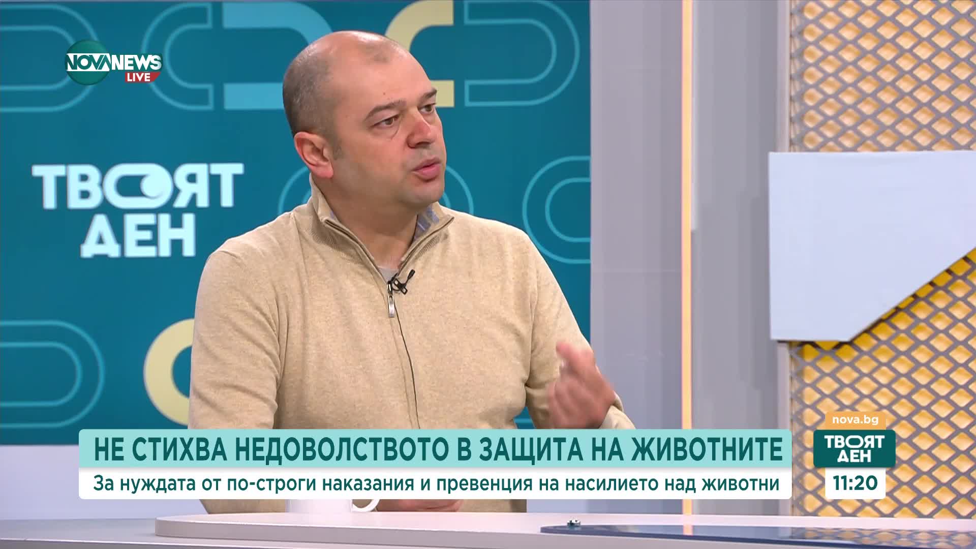 Има ли нужда от по-строги наказания и превенция на насилието над животни