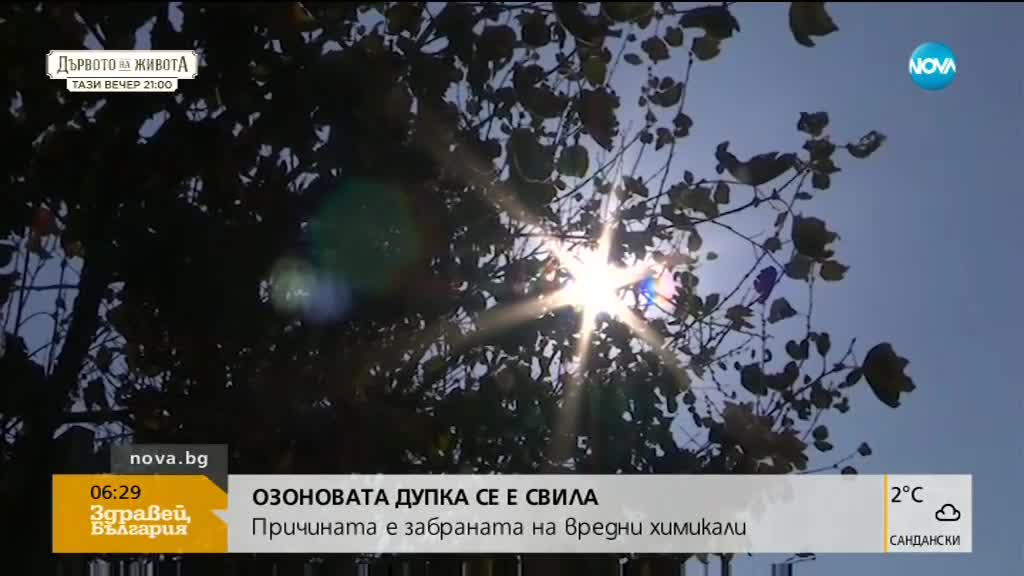 Озоновата дупка се е свила