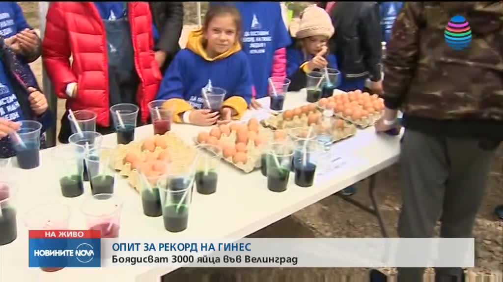 Рекордно боядисване на яйца във Велинград