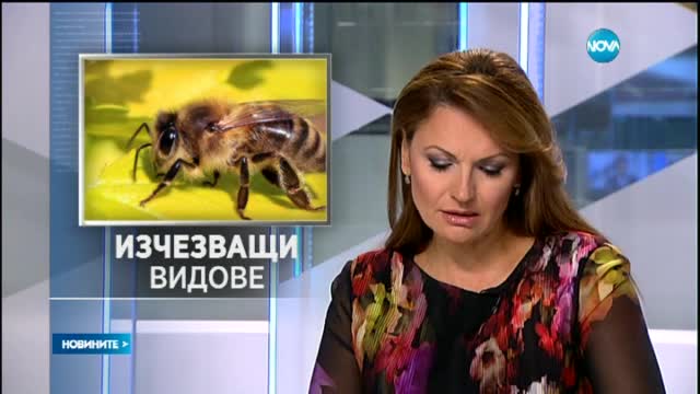 Новините на Нова (22.06.2015 - централна)