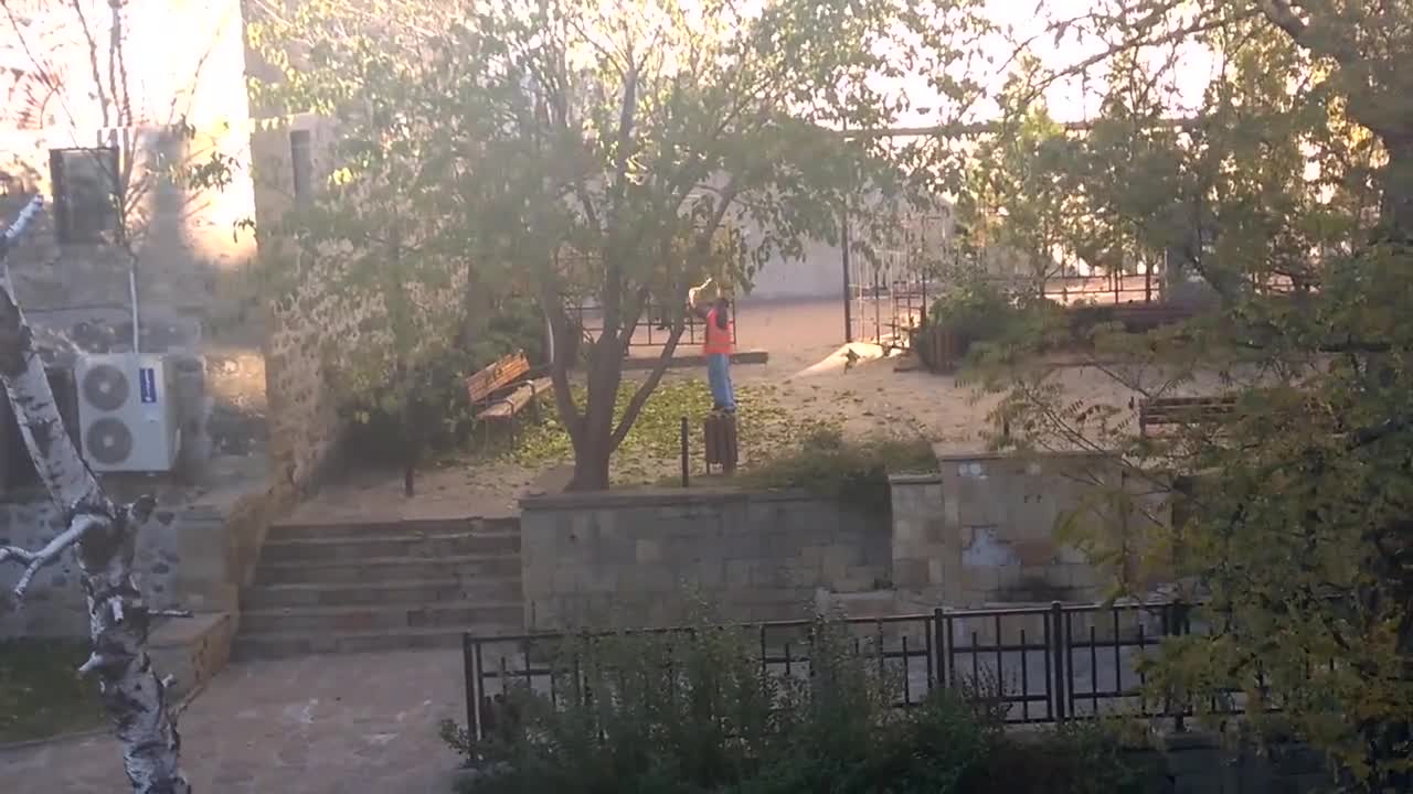 Как се чистят листата от дърветата в Дупница?