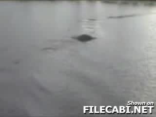 Доказателство За Съществуването На Неси