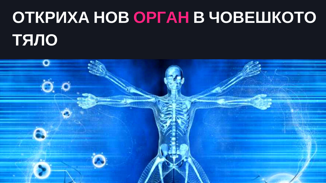 Oткриха нов орган в човешкото тяло