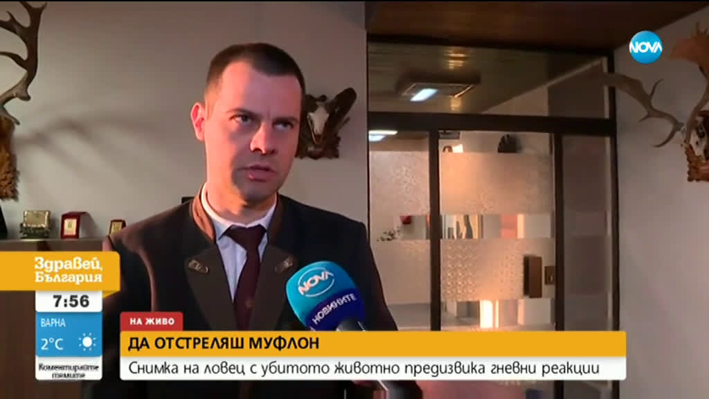 ДА ОТСТРЕЛЯШ МУФЛОН: Снимка на ловец с убитото животно предизвика гневни реакции