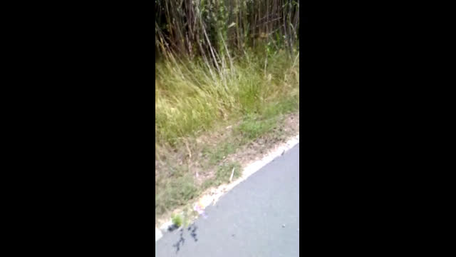 Велоалеите в Бургас - опасни!