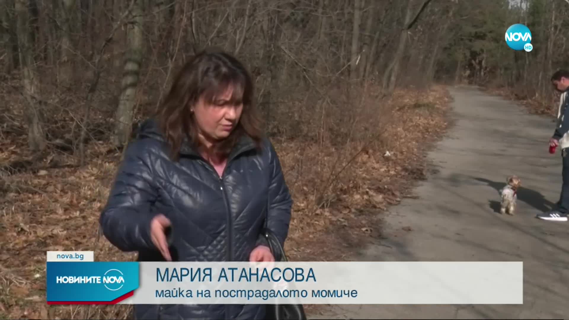 14-годишно момиче е било ухапано от избягалия вълк в Хасково