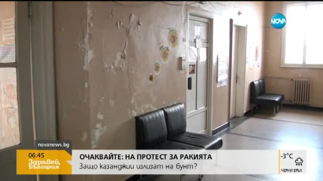 В печата: Мис България остава с короната