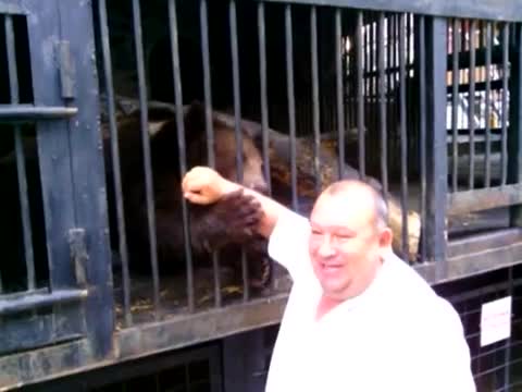 Истинската любов от страна на животните към своя стопанин!