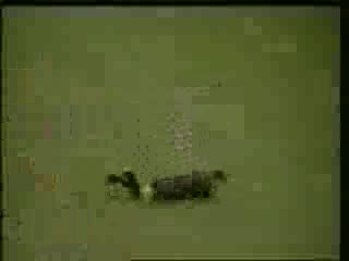 Футболни Смешки