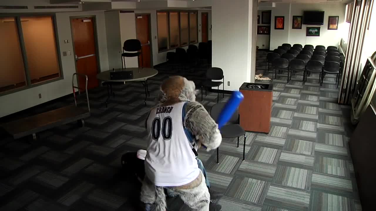 Harlem Shake ли, пак помислете !