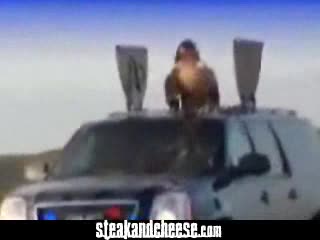 Добре Въоръжен Ван