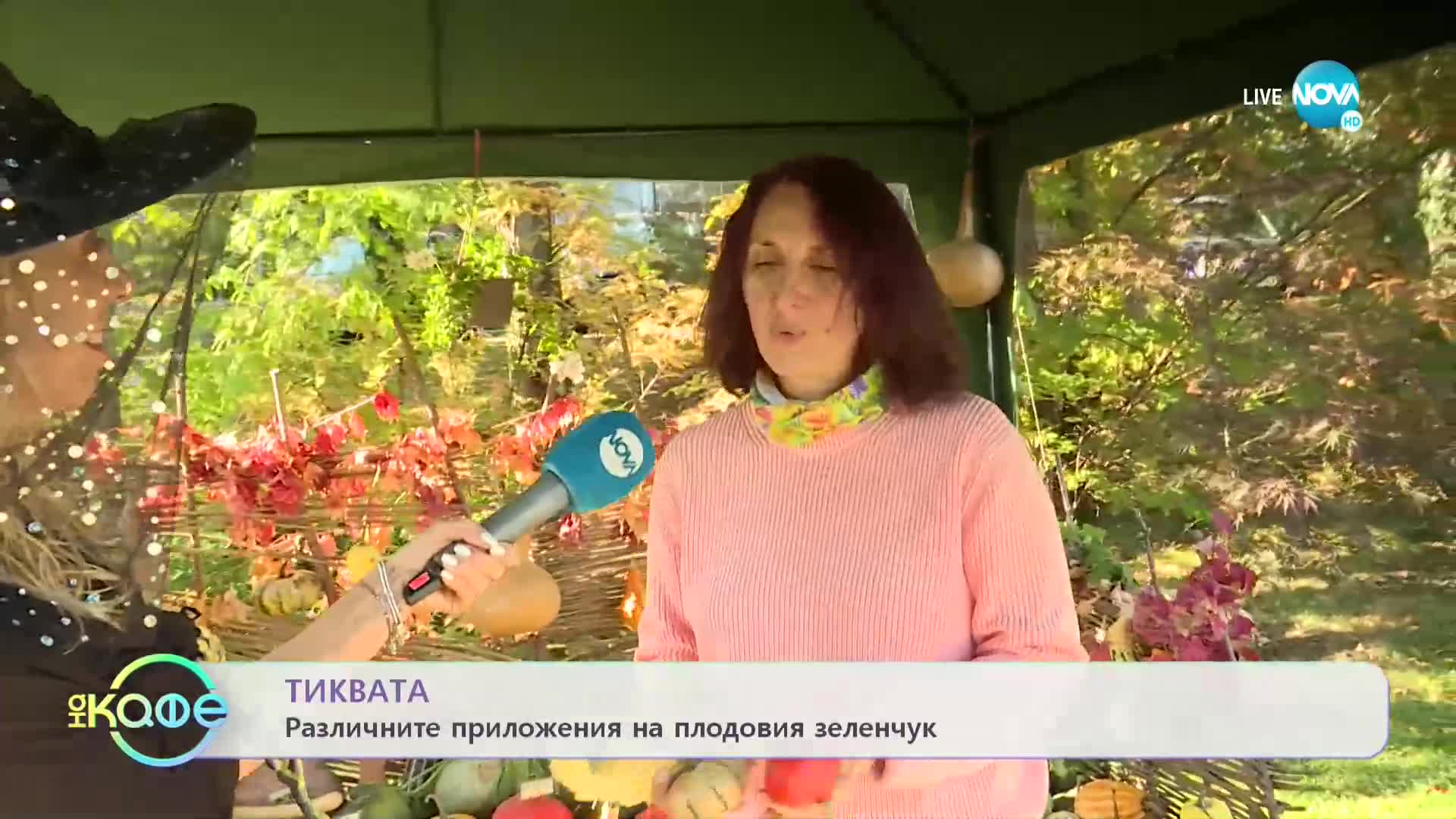 Интересни факти и история на тиквата