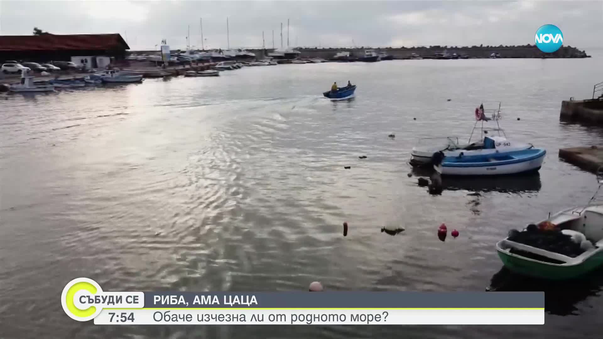 АНОМАЛИИ В УЛОВА: Сьомгова пъстърва плува в Черно море, цацата изчезна