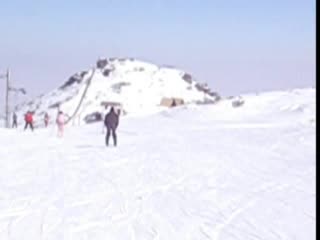 Скиор Новобранец