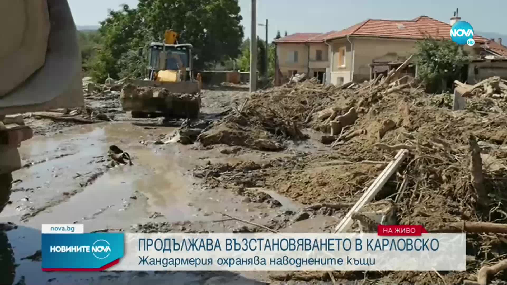 Нови проверки за незаконна сеч в Карловско