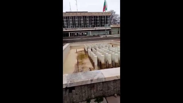 "Моята новина": Силни ориенталски ритми в центъра на Нова Загора