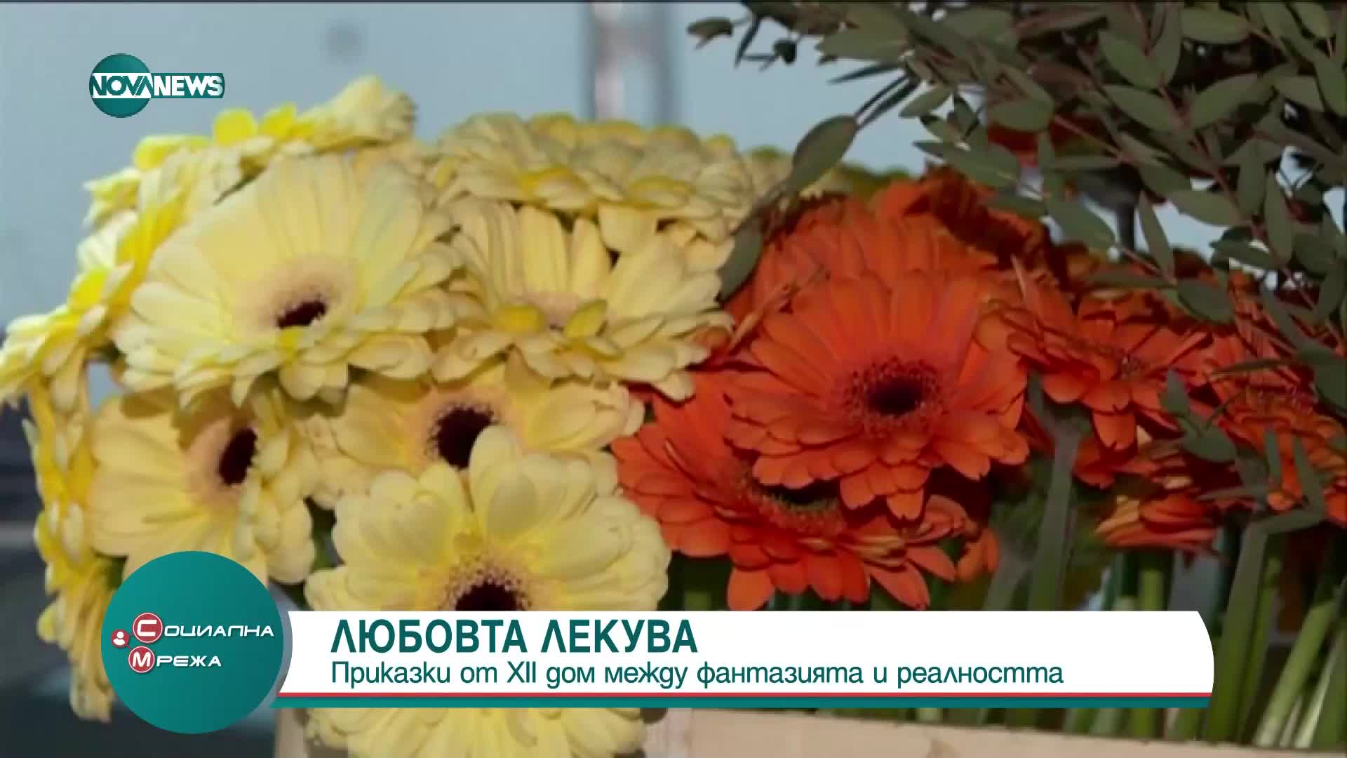 Хули Леонис за книгата си "Любовта лекува - Оракулски карти"