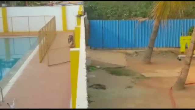Леопард „щурмува” индийско училище, рани шестима (ВИДЕО)