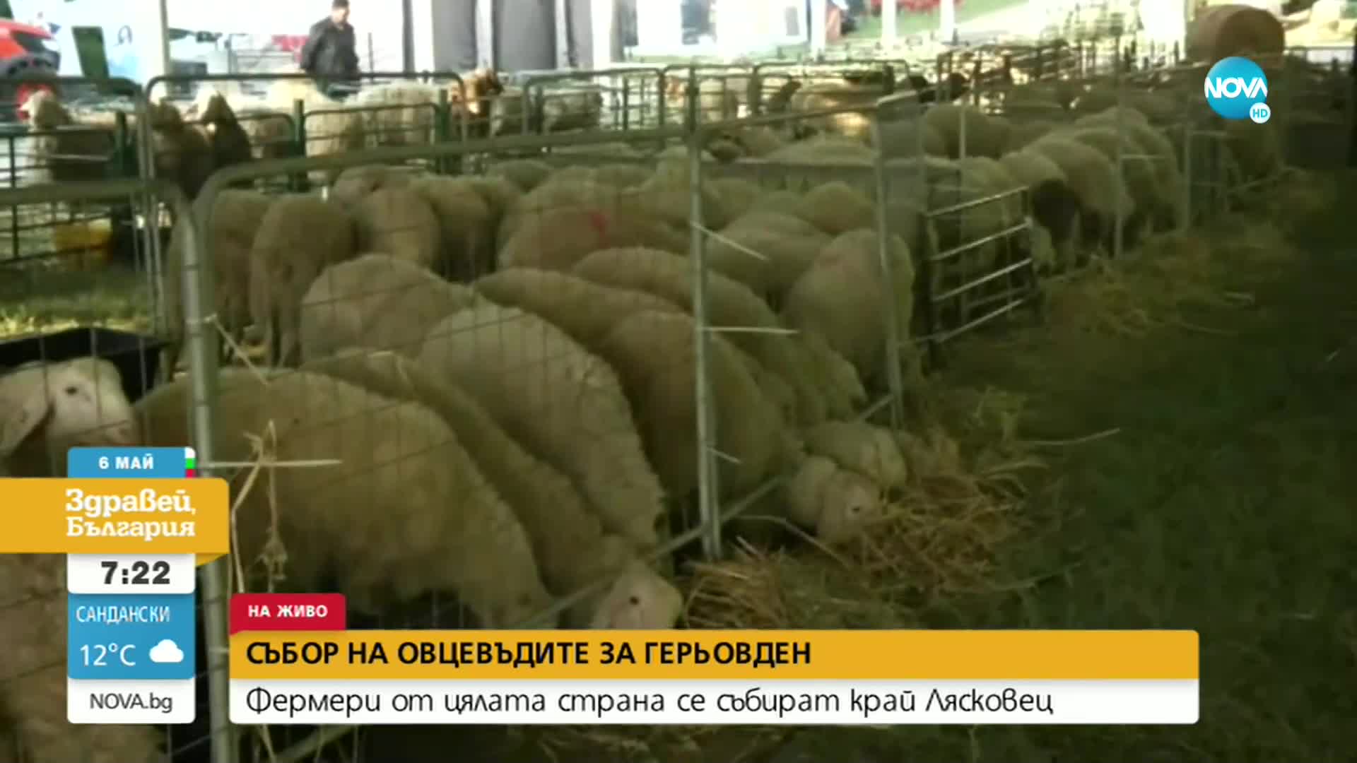 Започна националният събор на овцевъдите край Арбанаси