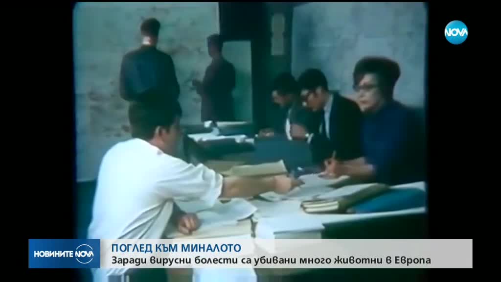 ПОГЛЕД КЪМ МИНАЛОТО: Много животни в Европа са убивани заради болести