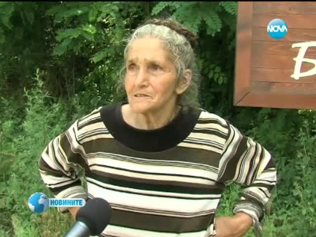 Рецивидист 80-годишна баба осъдена на 2 години заради насъждения с канабис