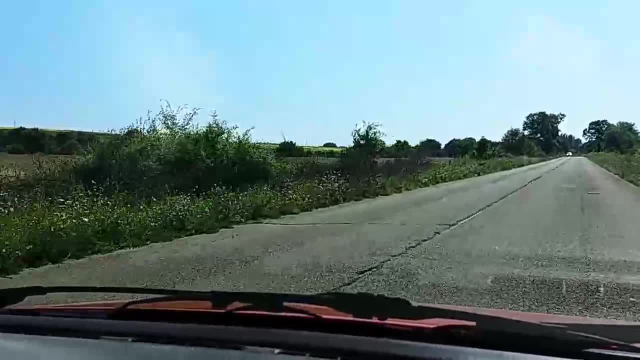 Клони край главен път