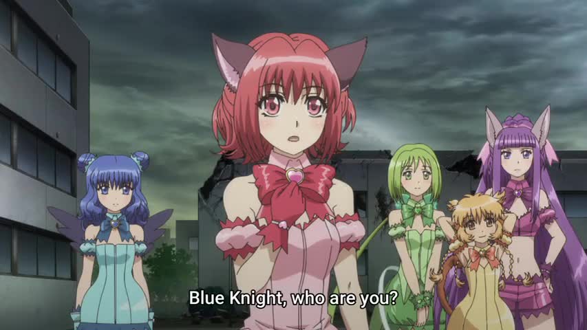 Tokyo Mew Mew New~♡ 2nd Season