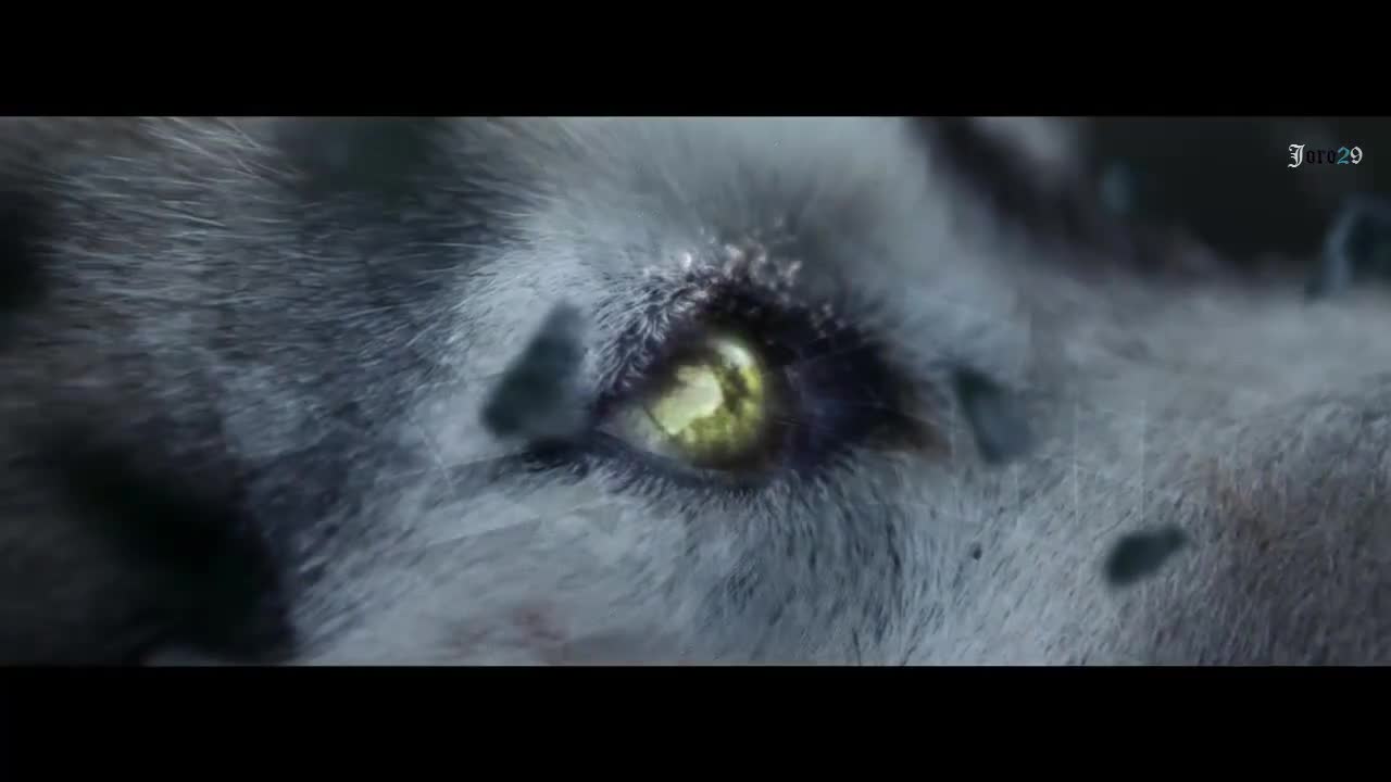 David Guetta Ft. Sia - She Wolf ( Falling to Pieces)   Превод