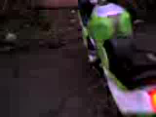 Кавазаки Team Green