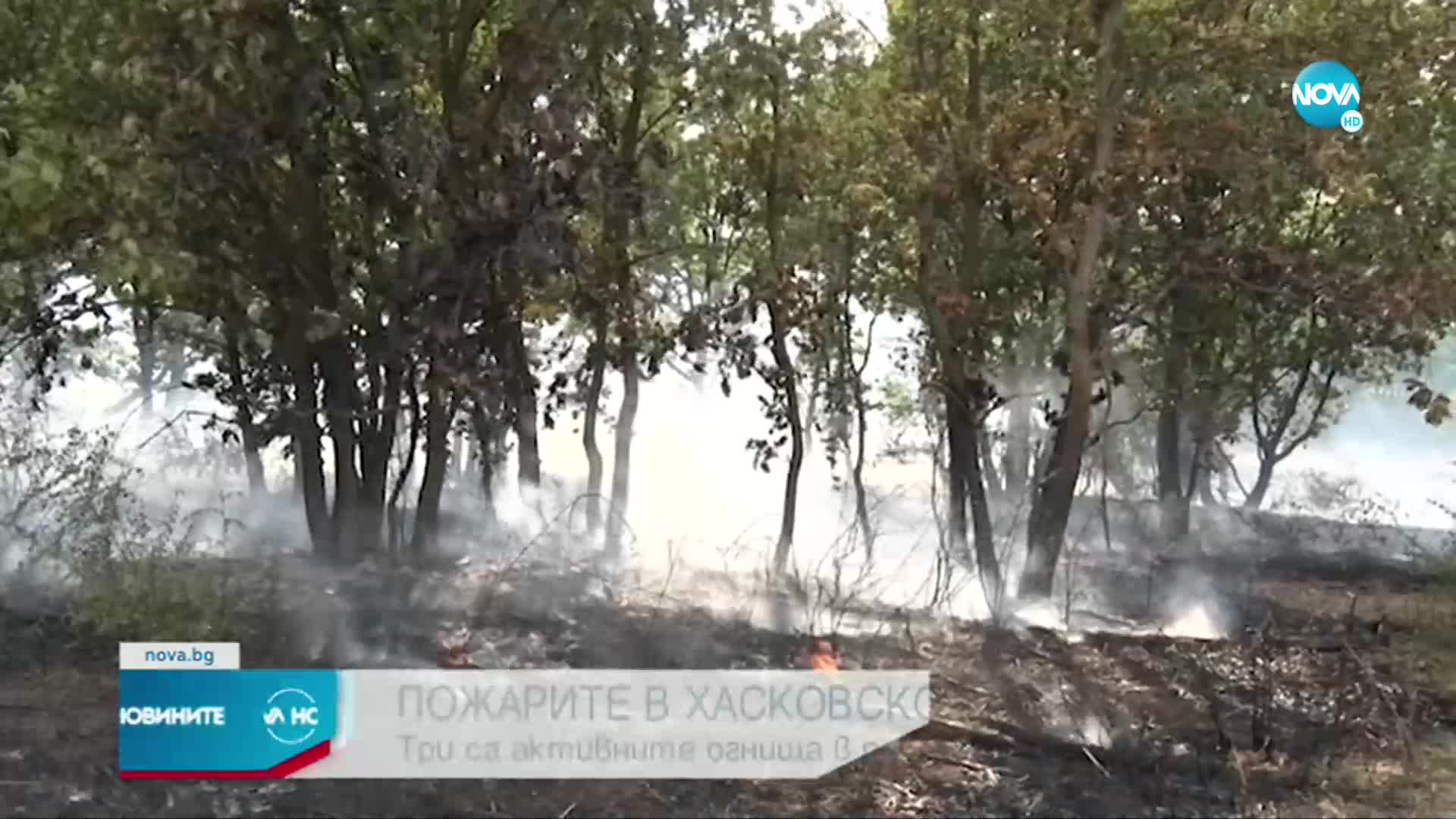 Три са активните огнища в Хасковско