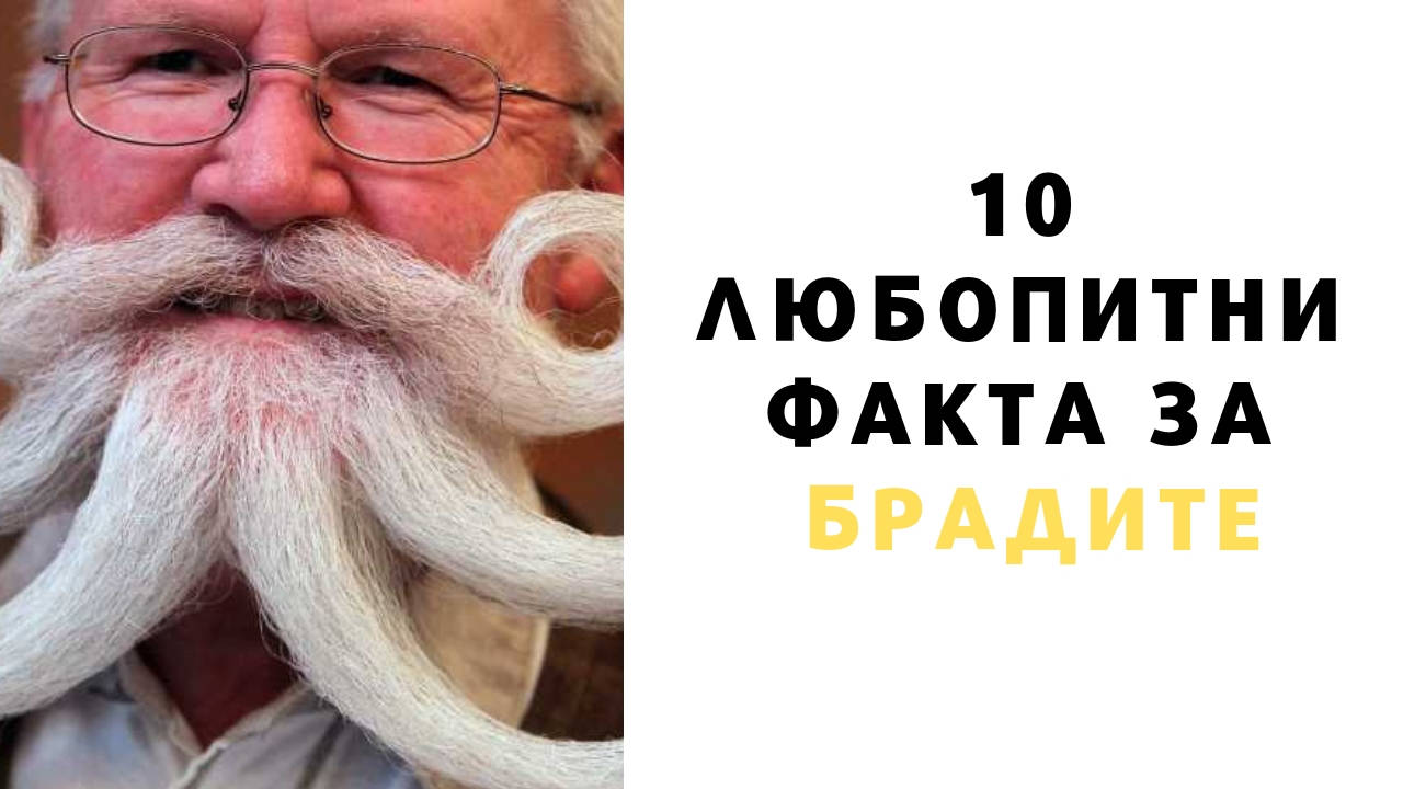 10 любопитни факта за брадите