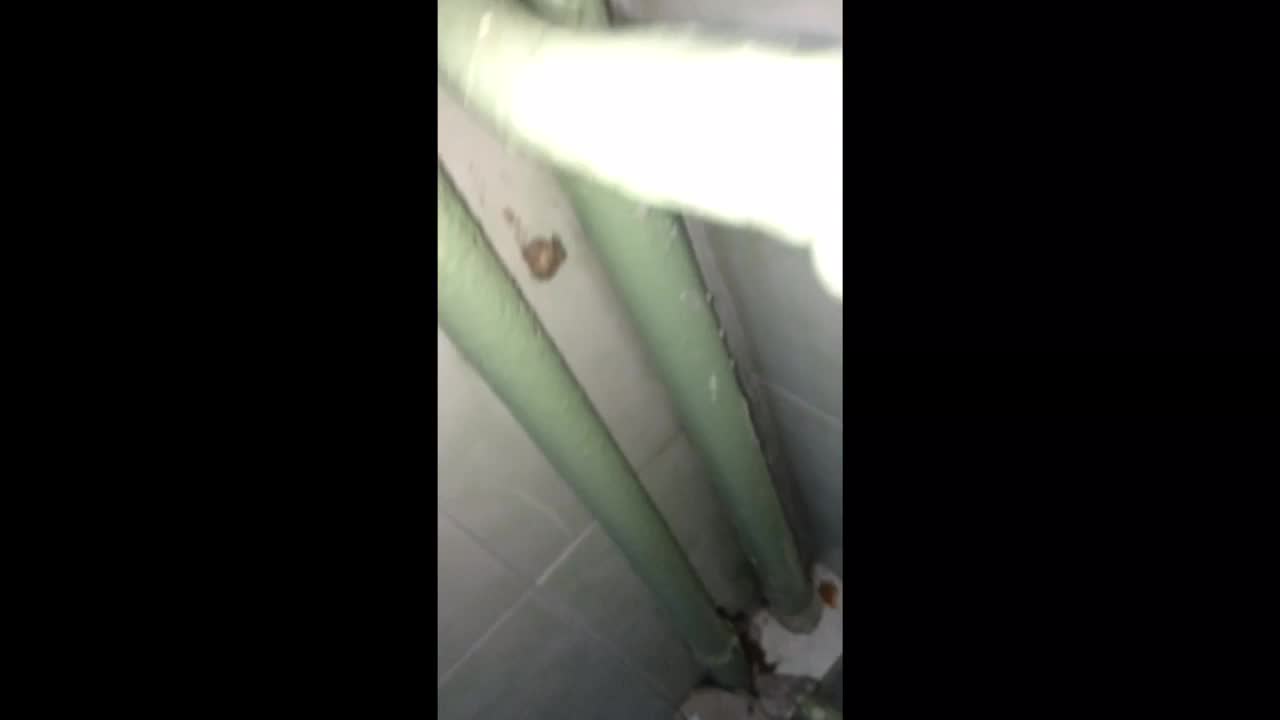 Тоалетните в столично училище