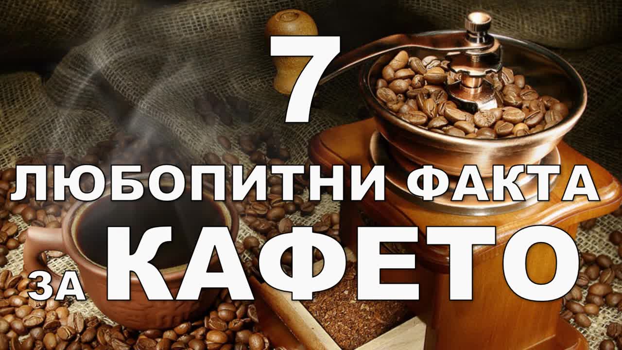 7 любопитни факта за кафето