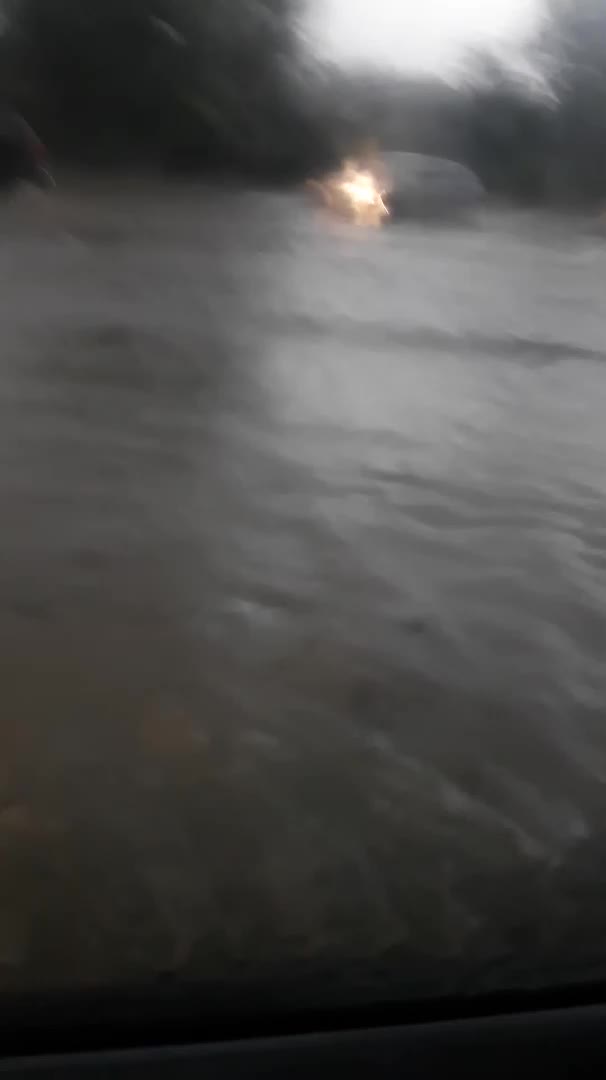 Черно море