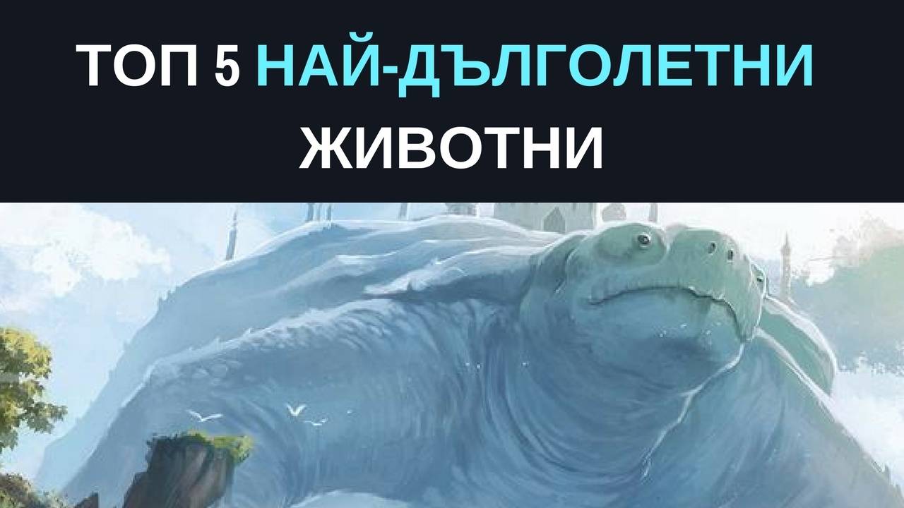 Топ 5 на най-дълголетните животни