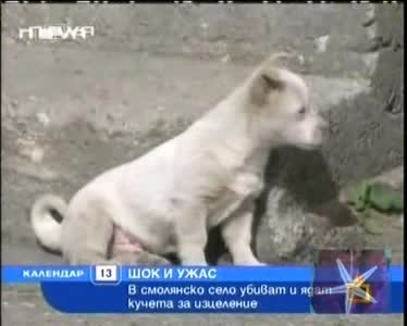 Хората Със Слаби Нерви Да Щракнат Мутето - Господари На Ефира,