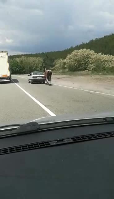 Абсурд на пътя
