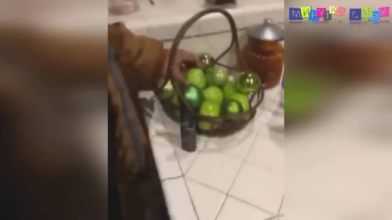 Супер луд смях - Минутка смехотерапия