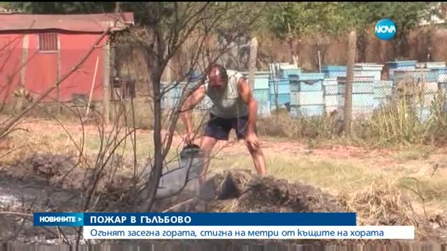 Пожарът в Гълъбово е овладян, отмениха бедственото положение