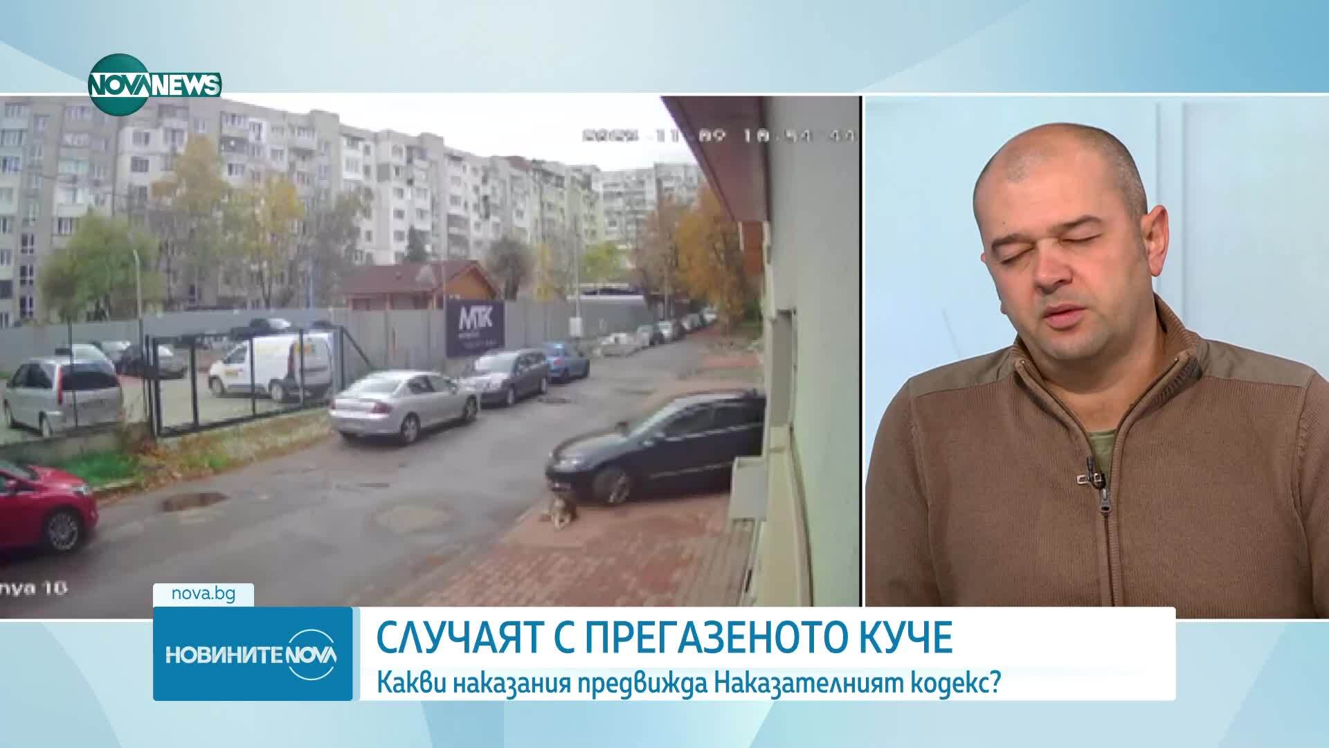 Случаят с прегазеното куче: Обществена реакция и прилагане на закона