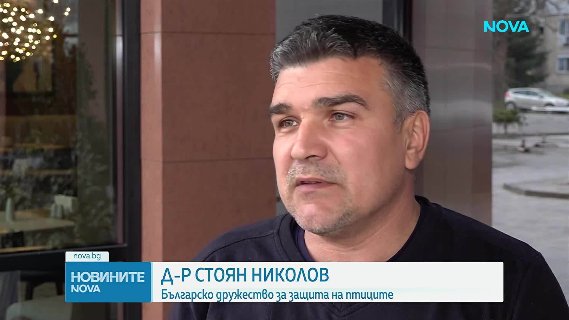 Започва мащабна кампания за спасяване на застрашени птици в България, РСМ и Турция