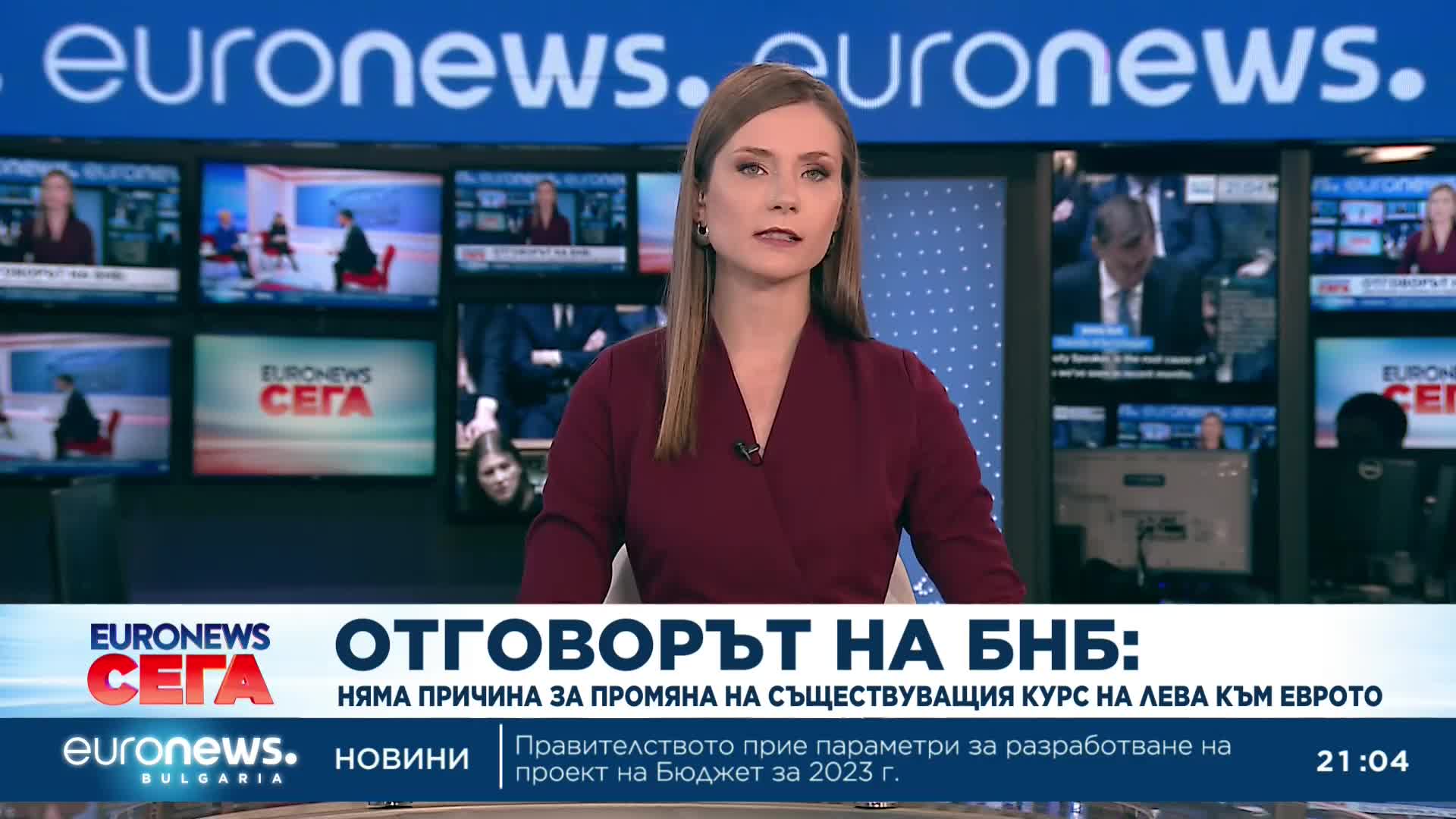 Няма причина за промяна на съществуващия курс на лева към еврото, увери БНБ